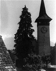 Wimmis Lutheran Church